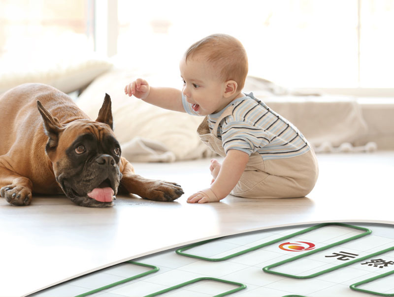 1595993193823377.jpg 3.jpg